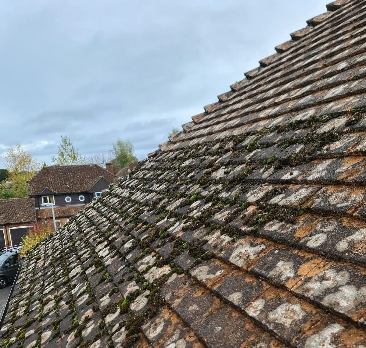 Before and after comparison of professional roof cleaning